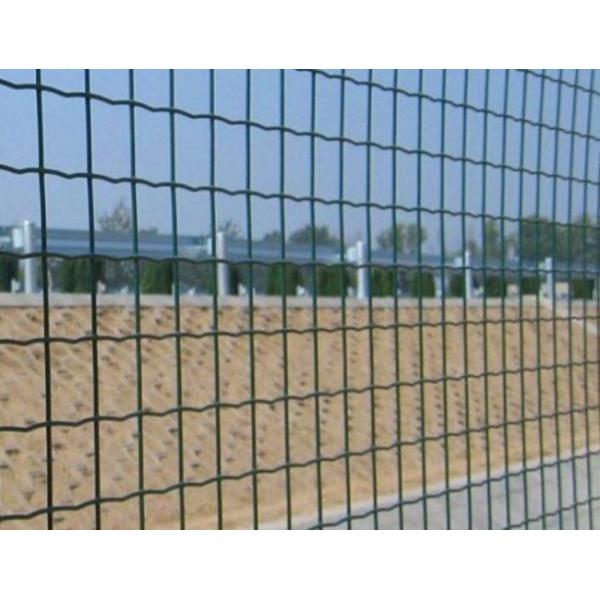 SGS Pvc Coated Holland Wire Mesh Fence Welded Mesh Rolls For Yard Weather Proof