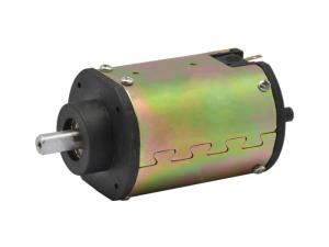 10W-1000W Magnet DC Motor With Customizable Efficiency For Various Applications