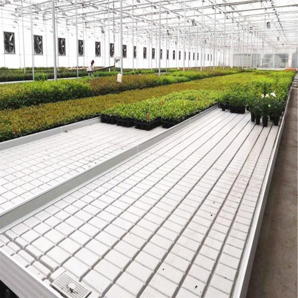 Aluminum Frame Greenhouse Rolling Benches / Ebb And Flood Benches Tidal Nursery