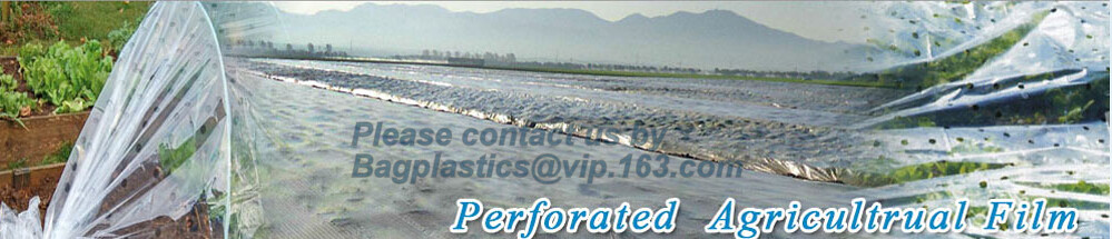HOTICULTURAL MULCH FILM,AGRICULTURAL PE FILM,MARKET GARDENERS CLOCHE FILM,PE FILM FOR CORN,PLASTIC FILM COVER,TOMATO COV