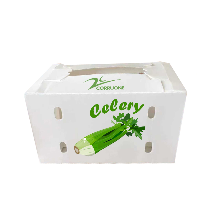 Correx Corn Vegetable Corrugated Boxes Corrugated Plastic Shipping Boxes