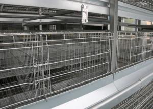 China High Capacity Poultry Breeding Cages A Frame Layer Cages Easy Maintain wholesale