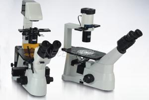 Biological Laser Scanning Fluorescence Microscopy With OSRAM 100W DC Mercury Lamp