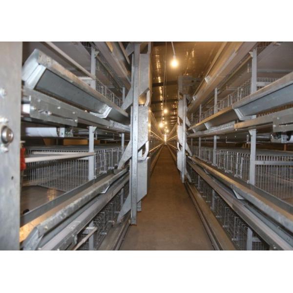 160 Birds Industrial Chicken Coop Automatic Battery Cage For Broilers
