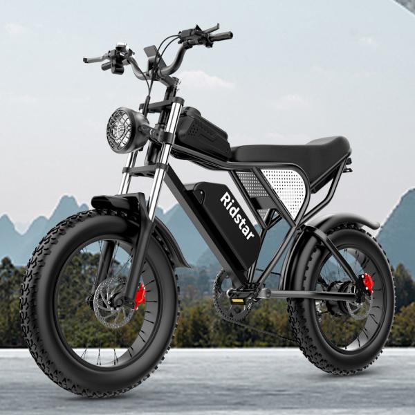 48V 1000W 20Ah 20" X4.0 Fat Tire Electric Mountain Bike With Removable Battery