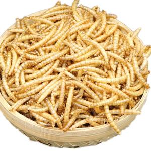 China Feed Additive Worm Meal Package 8.35kg/bag Raw Material Sourced from Mealworm wholesale
