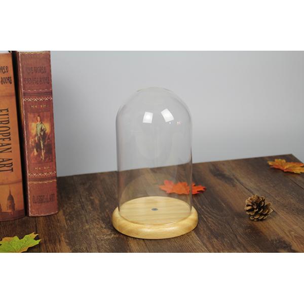 Wood Base D20*H40cm Borosilicate Glass Dome Display Cloche