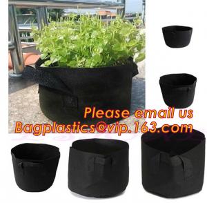 China fabric pots grow bag felt garden bag with handle,Hydroponic Grow Bag 1 Gallon Containers With Handle,Eco-friendly High q wholesale