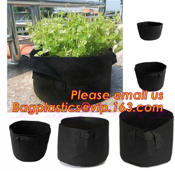 Quality fabric pots grow bag felt garden bag with handle,Hydroponic Grow Bag 1 Gallon Containers With Handle,Eco-friendly High q for sale