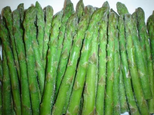 Quality Frozen asparagus for sale