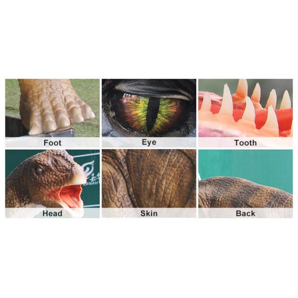 Sun Proof Realistic Dinosaur Model , Lifelike Animatronic Camarasaurus