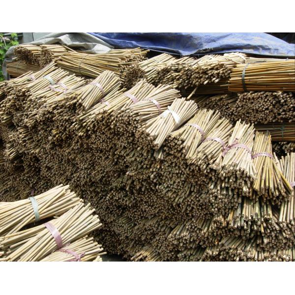 Garden Bamboo Stake Support for Plants & Climbers