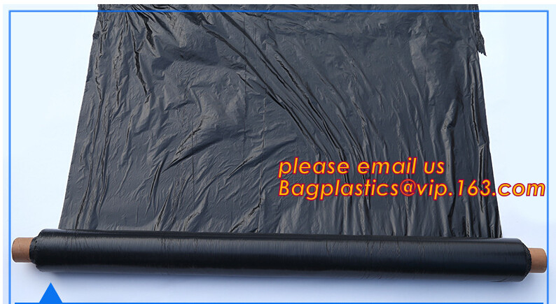 HOTICULTURAL MULCH FILM,AGRICULTURAL PE FILM,MARKET GARDENERS CLOCHE FILM,PE FILM FOR CORN,PLASTIC FILM COVER,TOMATO COV