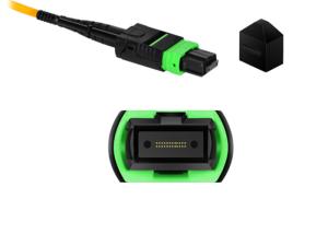 China 24 Cores Single Mode Fiber Patch Cord 55dB Return Loss Customized Length wholesale
