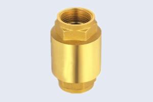China Heavy Brass Valve 1.6Mpa Spring Non Return Valve wholesale