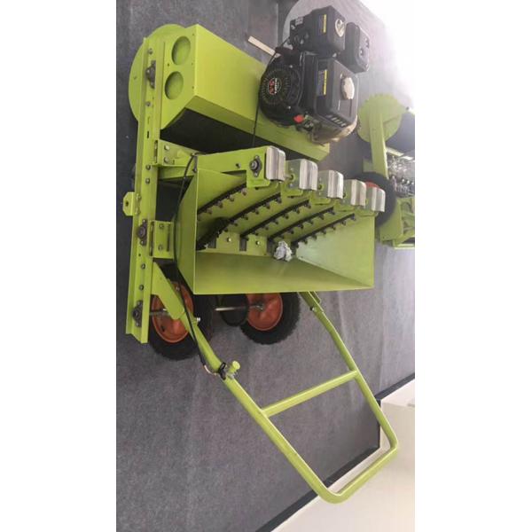 2017 Hot Garlic Seeder