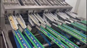 China 12 Lanes 12 Outlets Cashew Sorting Machine 1000kgs/Hour with 360° Rotating Scanning and Deep Learning Technology wholesale