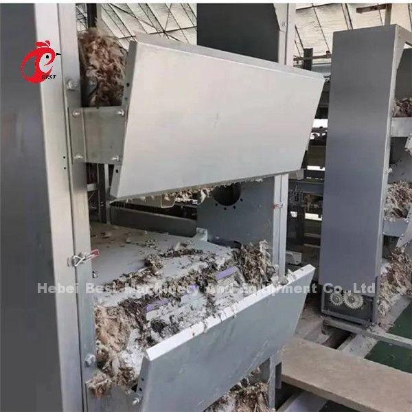 Quality 380V Poultry Chicken Farm Scraper And Belt Automatic Manure Removal Machine Ada for sale