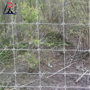 China Goat Farming Cattle Sheep Railing Fence Metal Fixed Knotted Iron Wire Mesh wholesale
