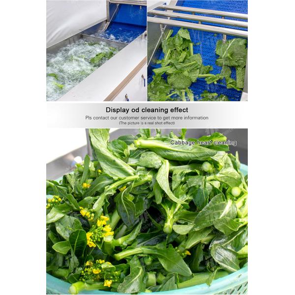 Commercial Fruit And Vegetable Washing Machine High Pressure Water Flow