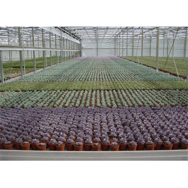 Large Ventilated Area Forest Garden Greenhouse Galvanized Frame Finishing