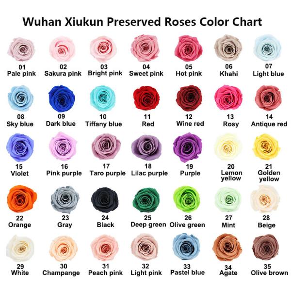 5-6cm Eternal Everlasting Preserved Rose Heads A Grade