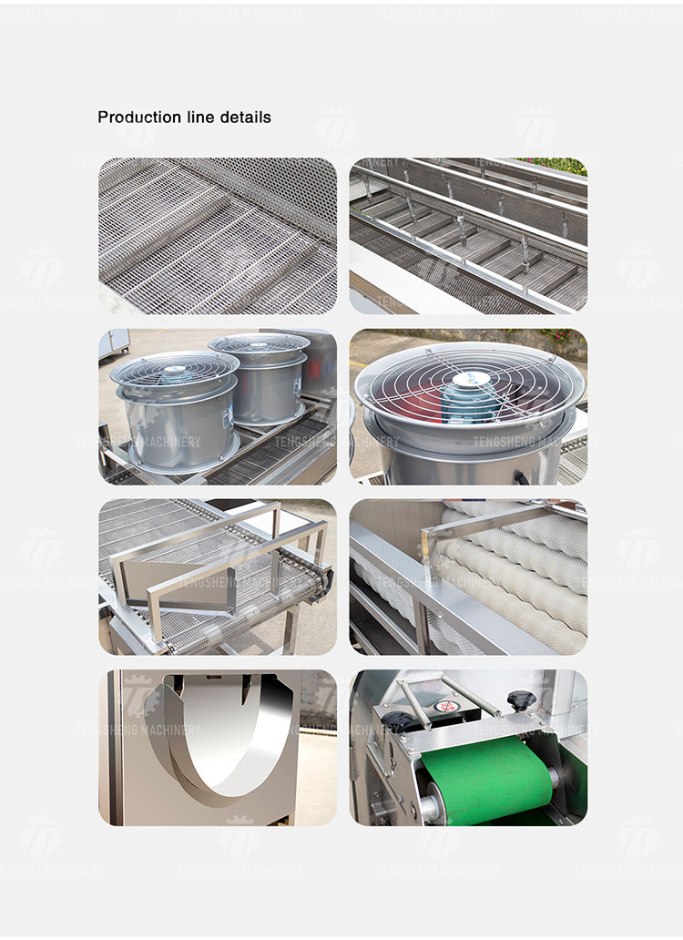 Industrial Fruit And Vegetable Processing Line Brush Bubble Cleaning Drying Selection And Cutting