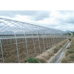 Commercial Plastic Film Greenhouse Hydroponic Hot Dipped Galvanized Steel