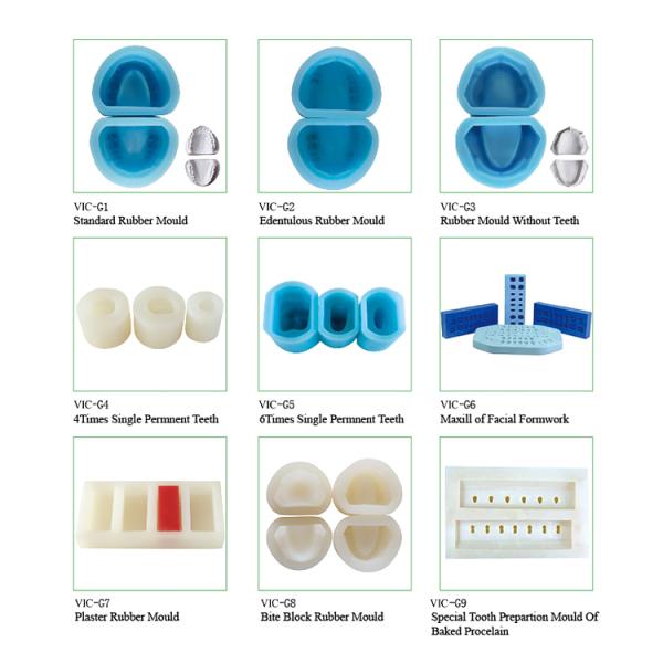 Standard Rubber Teeth Mould Dental Teaching Model , Study Models In Dentistry