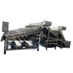 China 4900W Shrimp Grading Machine Roller Control Anti Erosion Automatic wholesale