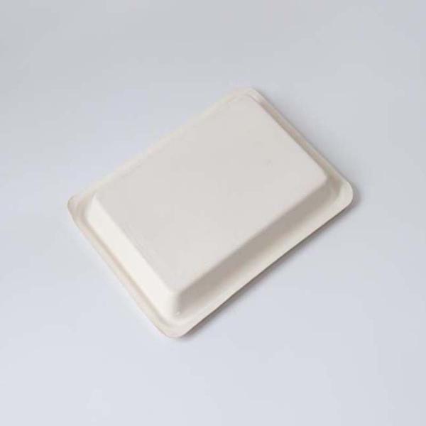 Corrugated Paper Biodegradable Pulp Molded Wine Packaging Trays