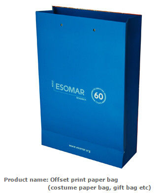 Low cost custom made design logo print handle paper carrier bag luxury paper gift bag,Luxury Paper Package Packaging Gif