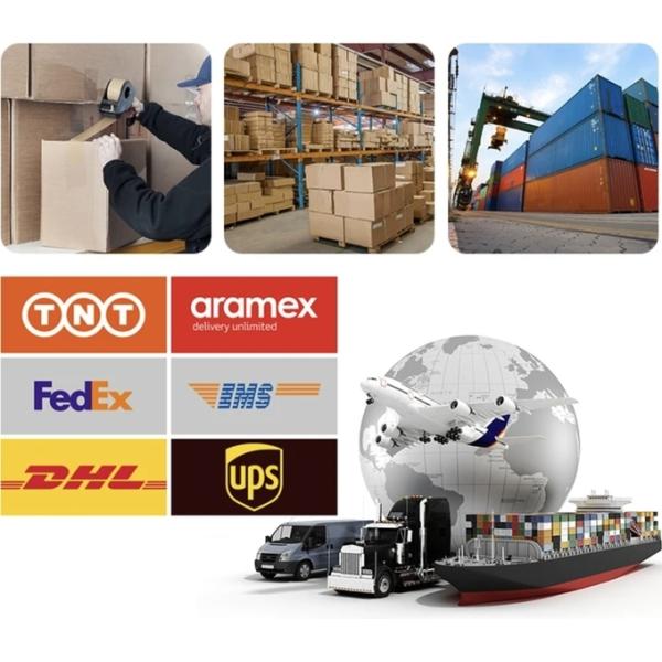 3 ATM Wateproof Citizen Leather Watch Lady Leather Strap Watches ISO Certificate