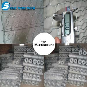 China Wholesale high quality chicken wire mesh An additional coating hexagonal wire mesh wholesale