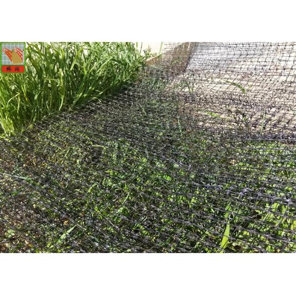 Black Color Erosion Control Net For Three Dimensional Erosion Blanket 250g / Sqm