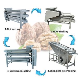 Producing Palm Kernel Cracking Machine with Almond Shell Kernel Separation