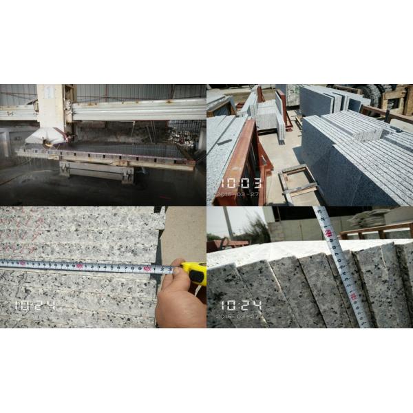 Bath / Kitchen Andromeda White Granite Countertop 2.67g / Cm2 Bulk Density