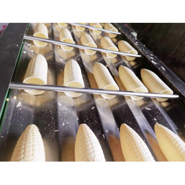 115mm 10kg/h wafer Cone Making Machine Full Automatic