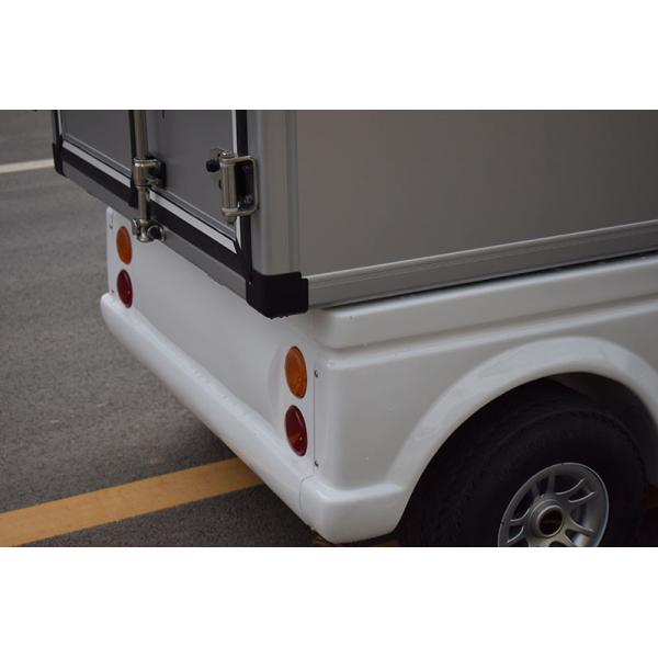 4 Passenger Electric Utility Vehicle with Rear Closed Box