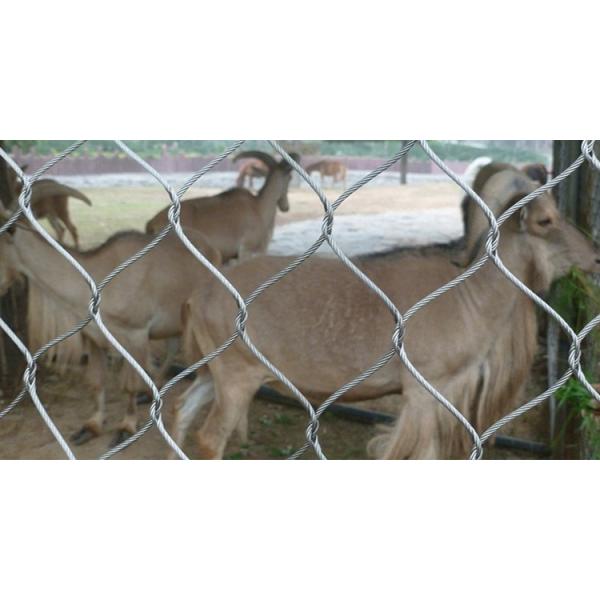 Stainless Steel Wire Rope Mesh x tend mesh AISI 316L zoo mesh