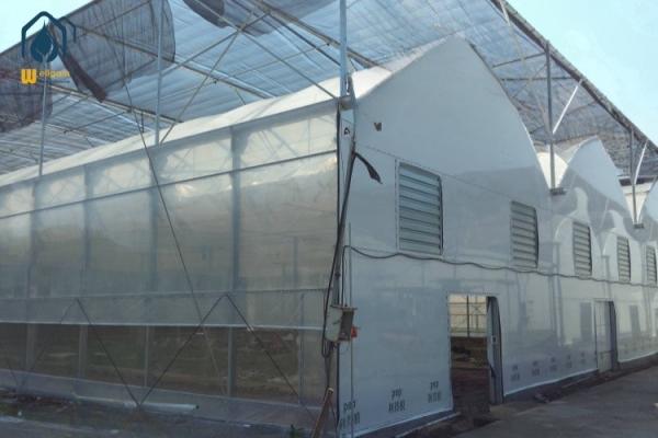 Quality Modern Multispan Greenhouse Flower Growing With Automatic Control System for sale