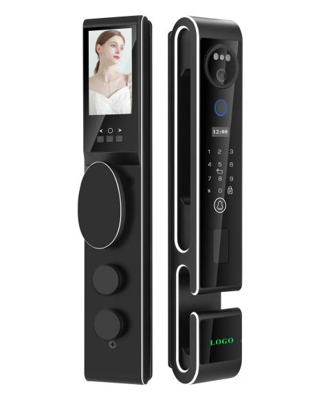 Quality Luxury S666 3D Face Recogniton Door Lock With Intercom Automatic Security Door Lock for sale