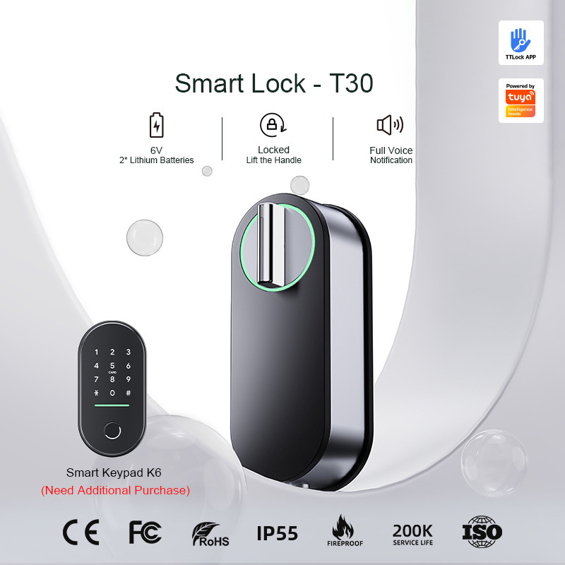 Liliwise Hot Selling Lock Smart Home Indoor Tuya Ttlock Security Digital Lock Wifi Smart Lock With Keyless