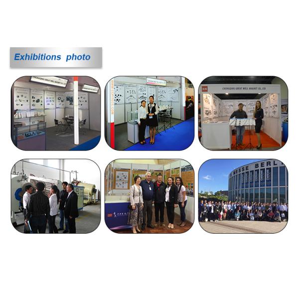 Halbach Array Permanent Magnet Rotor Assembly Y25 Y30 Y32