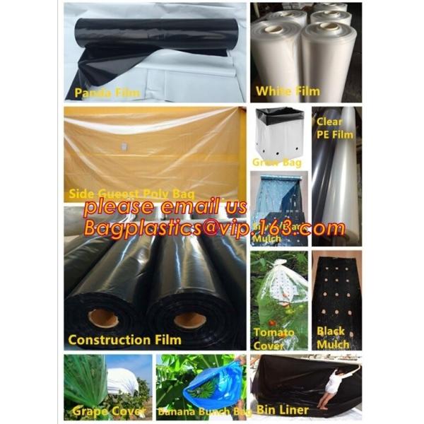 Eco-Friendly Hdpe Geomembrane Liner Geomembrane Price,Eco-Friendly Hdpe Geomembrane Liner Waterproofing Membranes BAGEAS