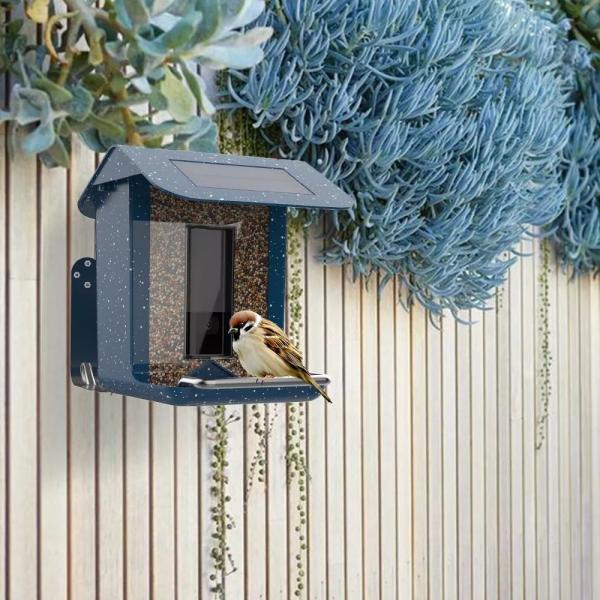 Quality Outdoor Wild Birdfeeder With Camera Motion Detection 8m Version Range for sale