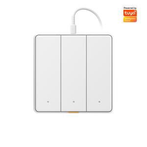 China Tuya WIFI touch Switch Smart home with Type C Timing Voice App Alexa, Google Home RF433 Smart EU Wall Light Button Switch wholesale