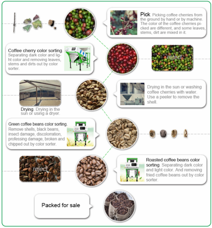 Optical Bean sorting machines CCD Six Chutes Bean Color Sorter