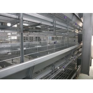 China Hot Galvanized Automatic Egg Collection Machine 15-20 Years Lifespan on sale
