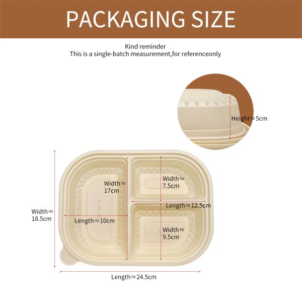Close-up view of corn starch biodegradable lunch box showing compartment details